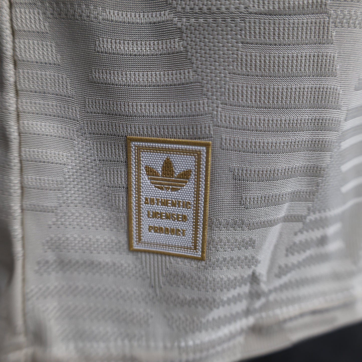 Bayern Monaco Terza 24/25 - Versione Giocatore