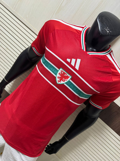 Wales player version 26/27