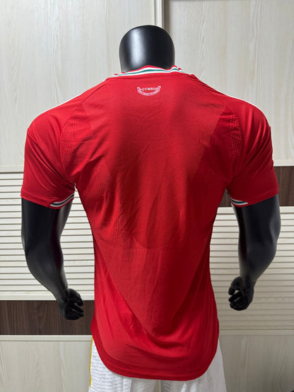 Wales player version 26/27